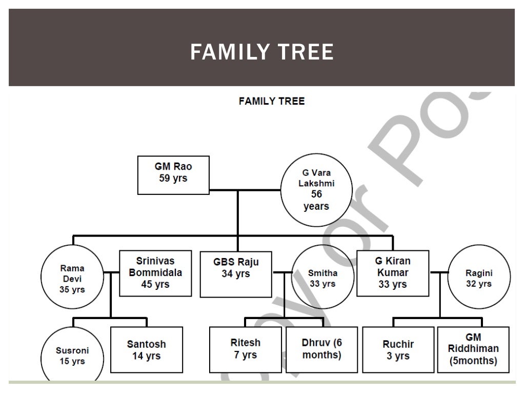 Gmr Group Family Business Ppt