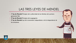 LAS TRES LEYES DE MENDEL
• 1ª ley de Mendel: Principio de la uniformidad de los híbridos de la primera
generación filial
• 2ª ley de Mendel: Principios de la segregación
• 3ª ley de Mendel: Ley de la transmisión independiente o de la independencia de
los caracteres.
 