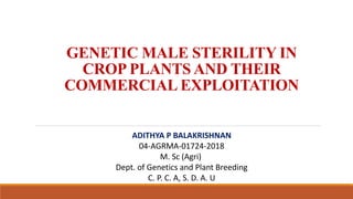 GENETIC MALE STERILITY IN
CROP PLANTS AND THEIR
COMMERCIAL EXPLOITATION
ADITHYA P BALAKRISHNAN
04-AGRMA-01724-2018
M. Sc (Agri)
Dept. of Genetics and Plant Breeding
C. P. C. A, S. D. A. U
 