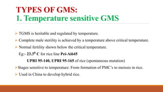 GENETIC MALE STERILITY IN CROP PLANTS | PPTX