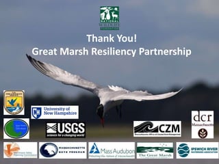Thank You!
Great Marsh Resiliency Partnership
 