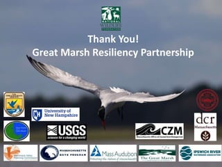 Thank You!
Great Marsh Resiliency Partnership
 