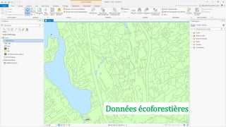 18
Données écoforestières
Données écoforestières
 