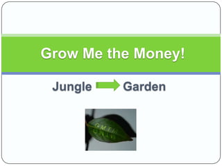 Jungle         Garden Grow Me the Money! 