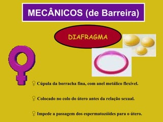 MECÂNICOS (de Barreira) DIAFRAGMA ♀   Cúpula da borracha fina, com anel metálico flexível. ♀   Colocado no colo do útero antes da relação sexual. ♀   Impede a passagem dos espermatozóides para o útero. 