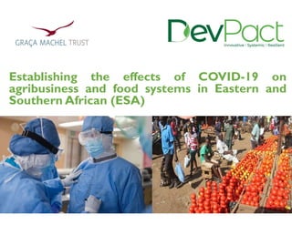Establishing the effects of COVID-19 on
agribusiness and food systems in Eastern and
Southern African (ESA)
 