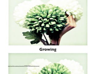 Growing


http://www.ﬂickr.com/photos/miawonder/5759559760/sizes/l/in/photostream/
 