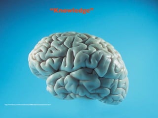 “Knowledge”




http://www.ﬂickr.com/photos/abanesta/328891935/sizes/z/in/photostream/
 