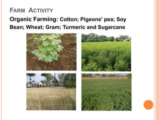 Organic Farming: Cotton; Pigeons' pea; Soy
Bean; Wheat; Gram; Turmeric and Sugarcane
FARM ACTIVITY
 