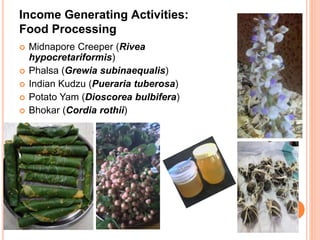 Income Generating Activities:
Food Processing
 Midnapore Creeper (Rivea
hypocretariformis)
 Phalsa (Grewia subinaequalis)
 Indian Kudzu (Pueraria tuberosa)
 Potato Yam (Dioscorea bulbifera)
 Bhokar (Cordia rothii)
 