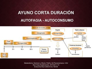 AYUNO CORTA DURACIÓN
Proteínas
musculares
Grasa
corporal
Pérdida de
iones IC
AUTOFAGIA - AUTOCONSUMO
Metabolismo, Nutricion y Shock. Patiño. Ed Panamericana. 4 Ed
Nutr Hosp Suplementos. 2013;6(1):1-9
Endocrinol Nutr 2004;51(4):139-48
 