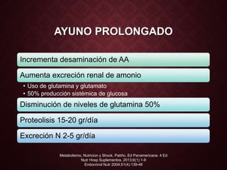 AYUNO PROLONGADO
Incrementa desaminación de AA
Aumenta excreción renal de amonio
• Uso de glutamina y glutamato
• 50% producción sistémica de glucosa
Disminución de niveles de glutamina 50%
Proteolisis 15-20 gr/día
Excreción N 2-5 gr/día
Metabolismo, Nutricion y Shock. Patiño. Ed Panamericana. 4 Ed
Nutr Hosp Suplementos. 2013;6(1):1-9
Endocrinol Nutr 2004;51(4):139-48
 