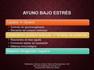 AYUNO BAJO ESTRÉS
Lipólisis  Glicerol
• Sustrato de gluconeogénesis
• Elevación de cuerpos cetónicos
Catabolismo proteico muscular  Síntesis de proteínas
• Reactantes de fase aguda
• Formación tejidos de reparación
• Defensa inmunológica
Balance nitrogenado negativo
Metabolismo, Nutricion y Shock. Patiño. Ed Panamericana. 4 Ed
Nutr Hosp Suplementos. 2013;6(1):1-9
Endocrinol Nutr 2004;51(4):139-48
 