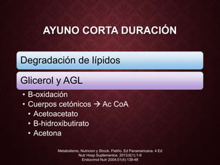 AYUNO CORTA DURACIÓN
Degradación de lípidos
Glicerol y AGL
• B-oxidación
• Cuerpos cetónicos  Ac CoA
• Acetoacetato
• B-hidroxibutirato
• Acetona
Metabolismo, Nutricion y Shock. Patiño. Ed Panamericana. 4 Ed
Nutr Hosp Suplementos. 2013;6(1):1-9
Endocrinol Nutr 2004;51(4):139-48
 