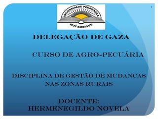 Docente:
Hermenegildo Novela
DELEGAÇÃO DE GAZA
Disciplina de Gestão de Mudanças
nas Zonas Rurais
CURSO DE AGRO-PECUÁRIA
1
 