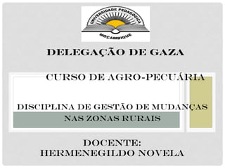 DELEGAÇÃO DE GAZA
CURSO DE AGRO-PECUÁRIA
Disciplina de Gestão de Mudanças
nas Zonas Rurais
Docente:
Hermenegildo Novela
 