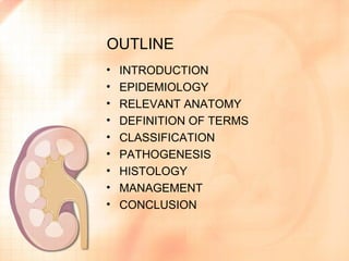 Pathogenesis of Glomerulonephritis | PPT