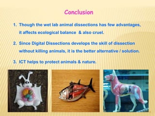 Animal Dissection Cons , Waste and Cruelty of Dissection – ORSJO