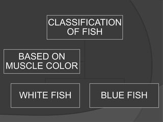 Fish Classifaction Fish | PPTX