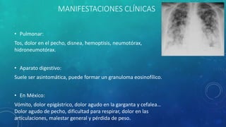 MANIFESTACIONES CLÍNICAS
• Pulmonar:
Tos, dolor en el pecho, disnea, hemoptisis, neumotórax,
hidroneumotórax.
• Aparato digestivo:
Suele ser asintomática, puede formar un granuloma eosinofílico.
• En México:
Vómito, dolor epigástrico, dolor agudo en la garganta y cefalea…
Dolor agudo de pecho, dificultad para respirar, dolor en las
articulaciones, malestar general y pérdida de peso.
 