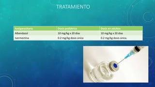 TRATAMIENTO
Antiparasitario Dosis pediátrica Dosis en adultos
Albendazol 10 mg/kg x 20 días 10 mg/kg x 20 días
Ivermectina 0.2 mg/kg dosis única 0.2 mg/kg dosis única.
 