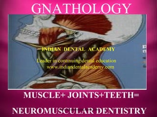 GNATHOLOGY
MUSCLE+ JOINTS+TEETH=
NEUROMUSCULAR DENTISTRY
INDIAN DENTAL ACADEMY
Leader in continuing dental education
www.indiandentalacademy.com
www.indiandentalacademy.com
 