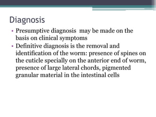 Diagnosis
• Presumptive diagnosis may be made on the
basis on clinical symptoms
• Definitive diagnosis is the removal and
identification of the worm: presence of spines on
the cuticle specially on the anterior end of worm,
presence of large lateral chords, pigmented
granular material in the intestinal cells
 