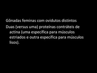 Gônadas feminas com ovidutos distintos
Duas (versus uma) proteínas contráteis de
actina (uma específica para músculos
estriados e outra específica para músculos
lisos).
 