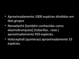 • Aproximadamente 1000 espécies divididas em
dois grupos
• Neoselachii [também conhecidas como
elasmobranquios] (tubarões , raias )
aproximadamente 950 espécies.
• Holocephali (quimeras) aproximadamente 33
espécies.
 