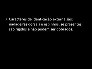 • Caracteres de identicação externa são:
nadadeiras dorsais e espinhos, se presentes,
são rígidos e não podem ser dobrados.
 