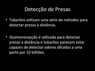 Detecção de Presas
• Tubarões utilizam uma série de métodos para
detectar presas à distância.
• Quimiorecepção é utilizada para detectar
presas a distância e tubarões parecem estar
capazes de detectar odores diluidos a uma
parte por 10 bilhões.
 