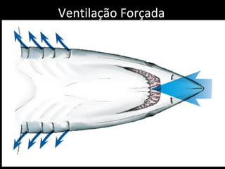 Ventilação Forçada
 