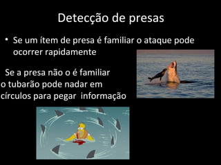 Detecção de presas
• Se um ítem de presa é familiar o ataque pode
ocorrer rapidamente
Se a presa não o é familiar
o tubarão pode nadar em
círculos para pegar informação
 