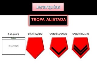 SOLDADO   DISTINGUIDO   CABO SEGUNDO   CABO PRIMERO
 