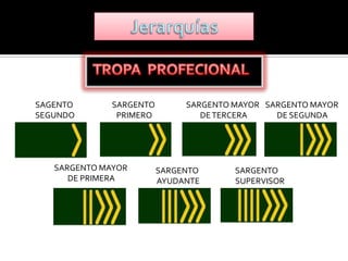 SAGENTO       SARGENTO        SARGENTO MAYOR SARGENTO MAYOR
SEGUNDO        PRIMERO           DE TERCERA    DE SEGUNDA




   SARGENTO MAYOR        SARGENTO      SARGENTO
      DE PRIMERA         AYUDANTE      SUPERVISOR
 