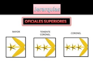 MAYOR   TENIENTE
                   CORONEL
        CORONEL
 