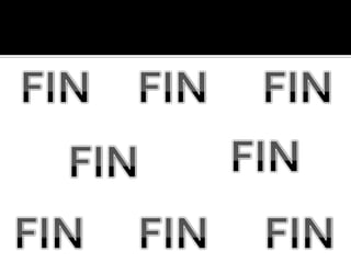 DIAPOSITIVA DE LA GNB