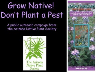 Grow Native!  Don’t Plant a Pest A public outreach campaign from  the Arizona Native Plant Society 