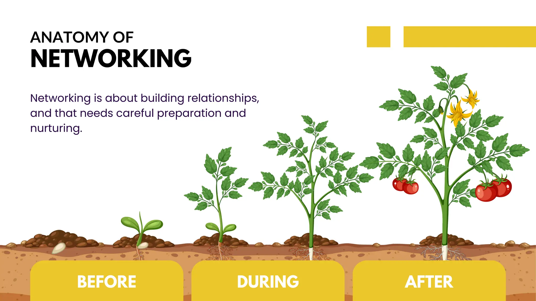 ANATOMY OF
NETWORKING
Networking is about building relationships,
and that needs careful preparation and
nurturing.
BEFORE DURING AFTER
 