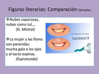 Figuras literarias: Comparación Ejemplos
Nubes vaporosas,
nubes como tul,…
(G. Mistral)
La mujer y las flores
son parecidas:
mucha gala a los ojos
y al tacto espinas.
(Espronceda)
 