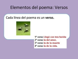 Elementos del poema: Versos
Cada línea del poema es un verso.
 