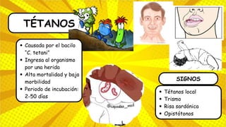 TÉTANOS
Causada por el bacilo
“C. tetani”
Ingresa al organismo
por una herida
Alta mortalidad y baja
morbilidad
Periodo de incubación:
2-50 días
Tétanos local
Trismo
Risa sardónica
Opistótonos
SIGNOS
 