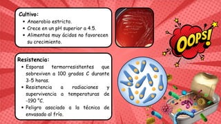 Anaerobio estricto.
Crece en un pH superior a 4.5.
Alimentos muy ácidos no favorecen
su crecimiento.
Cultivo:
Esporas termorresistentes que
sobreviven a 100 grados C durante
3-5 horas.
Resistencia a radiaciones y
supervivencia a temperaturas de
-190 °C.
Peligro asociado a la técnica de
envasado al frío.
Resistencia:
 