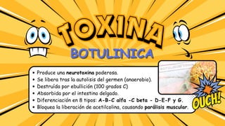 Produce una neurotoxina poderosa.
Se libera tras la autolisis del germen (anaerobio).
Destruída por ebullición (100 grados C)
Absorbida por el intestino delgado.
Diferenciación en 8 tipos: A-B-C alfa -C beta - D-E-F y G.
Bloquea la liberación de acetilcolina, causando parálisis muscular.
TOXINA
TOXINA
BOTULINICA
BOTULINICA
BOTULINICA
 