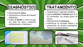 DIAGNÓSTICO
Eminentemente clínico.
Inoculación en ratones del alimento
sospechoso.
Prueba de ELISA y cultivo en agar
con yema de huevo, cicloserina,
sulfametoxazol y trimetoprim.
TRATAMIENTO
Traqueotomía y respirador mecánico.
Uso de antitoxina trivalente (anti-A-B-
E) intravenosa, con prueba previa de
alergia.
Administración de antisueros.
Antibióticos no indicados debido a la
potenciación de efectos paralizantes,
incluso con aminoglucósidos.
 