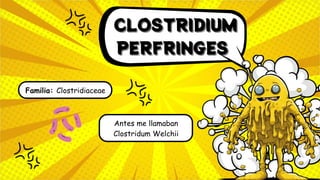 Familia: Clostridiaceae
Antes me llamaban
Clostridum Welchii
CLOSTRIDIUM
CLOSTRIDIUM
CLOSTRIDIUM
PERFRINGES
PERFRINGES
PERFRINGES
 