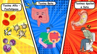 Toxina Alfa –
Fosfolipasa
Toxina Beta Toxinas épsilon
e Iota
 