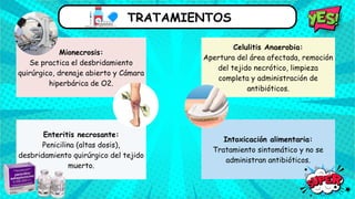 TRATAMIENTOS
Mionecrosis:
Se practica el desbridamiento
quirúrgico, drenaje abierto y Cámara
hiperbárica de O2.
Celulitis Anaerobia:
Apertura del área afectada, remoción
del tejido necrótico, limpieza
completa y administración de
antibióticos.
Intoxicación alimentaria:
Tratamiento sintomático y no se
administran antibióticos.
Enteritis necrosante:
Penicilina (altas dosis),
desbridamiento quirúrgico del tejido
muerto.
 