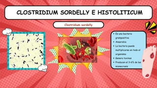 Es una bacteria
grampositiva
Anaerobia
La bacteria puede
multiplicarse en todo el
organismo
Genera toxinas
Producen el 3-6% de las
mionecrosis
CLOSTRIDIUM SORDELLY E HISTOLITICUM
Clostridium sordelly
 