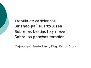 Tropilla de cariblancos Bajando pa´ Puerto Aisén Sobre las bestias hay nieve Sobre los ponchos también. (Bajando pa´ Puerto Aysén, Diego Barros Ortiz) 